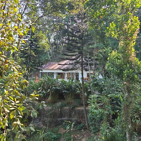 Anivilla Holiday Home Kunjithanny Anachal Exterior photo