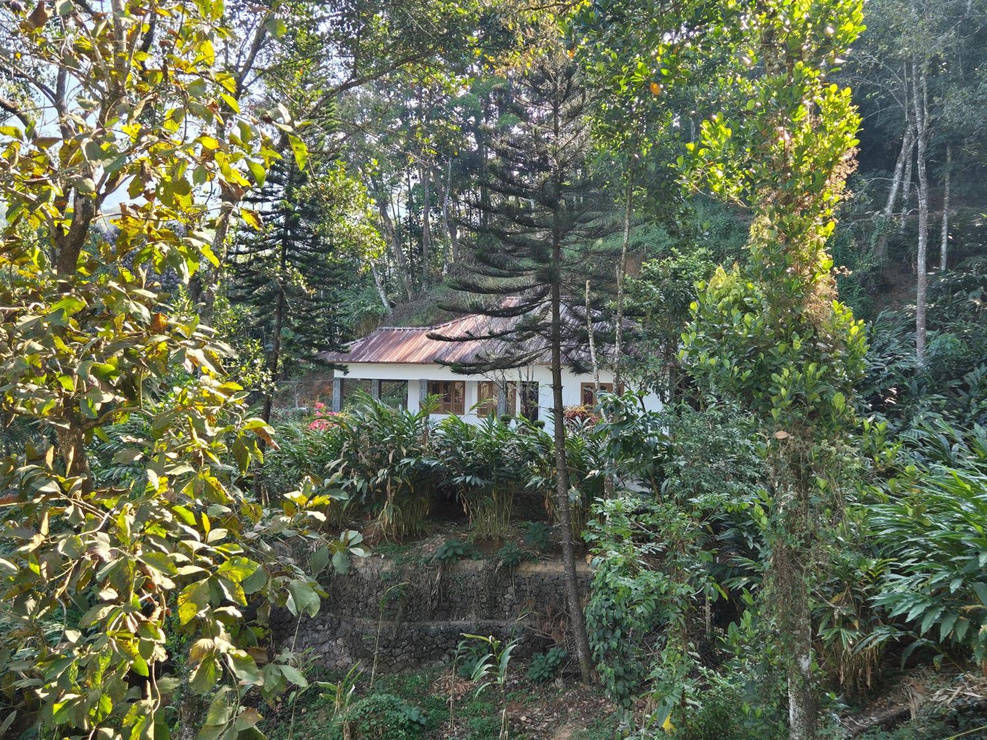 Anivilla Holiday Home Kunjithanny Anachal Exterior photo